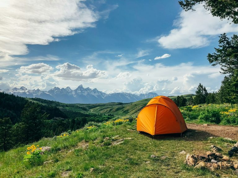 Unleashing the Adventurous Spirit: A Journey into the Wild